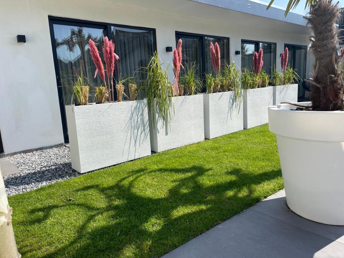 B&B Bubbles&Bites Oostvoorne Εξωτερικό φωτογραφία